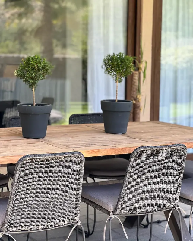 Proyecto PL · Terraza