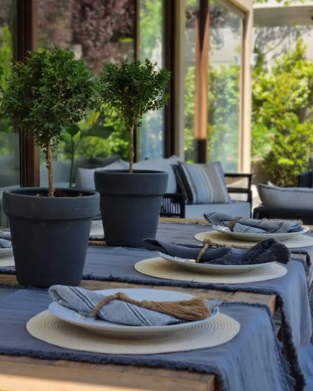 Proyecto PL · Terraza