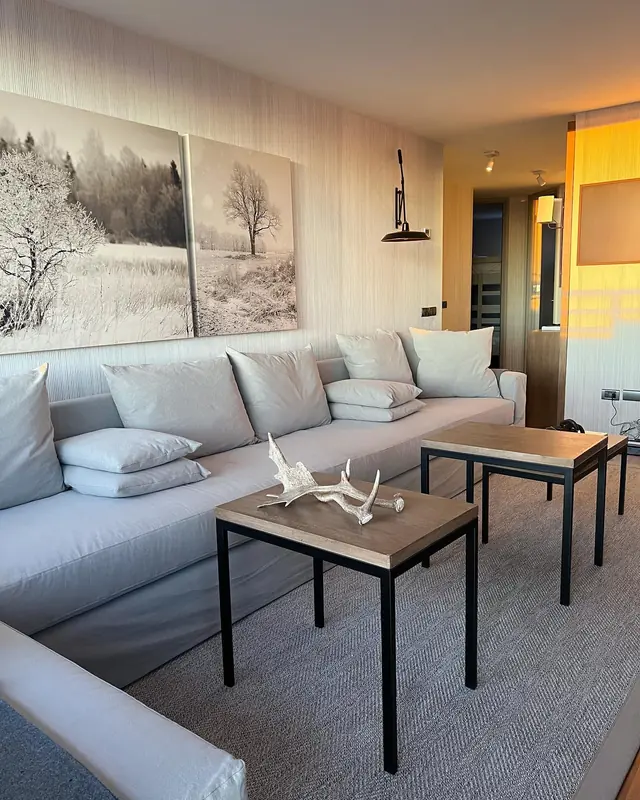 Refugio de montaña PS · Living